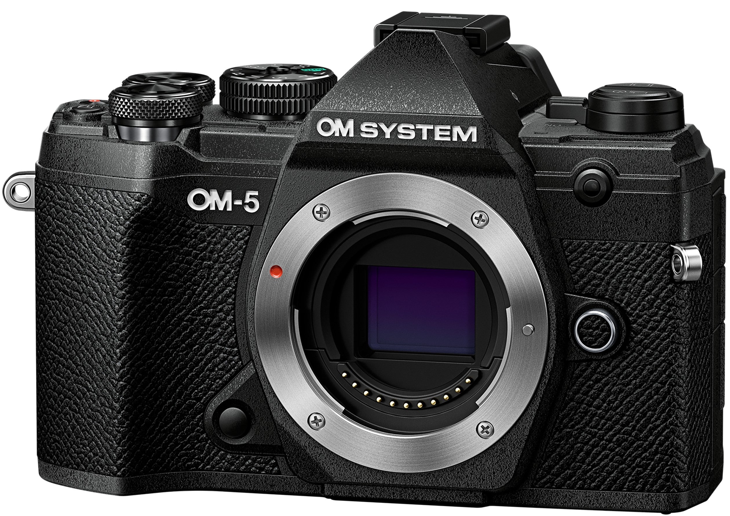 OM SYSTEM OM-5 Mirrorless Camera (Black)