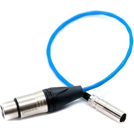 Kondor Blue Mini-XLR Male to XLR Female Audio Cable for Canon C70 & BMPCC 6K/4K (Blue, 16")