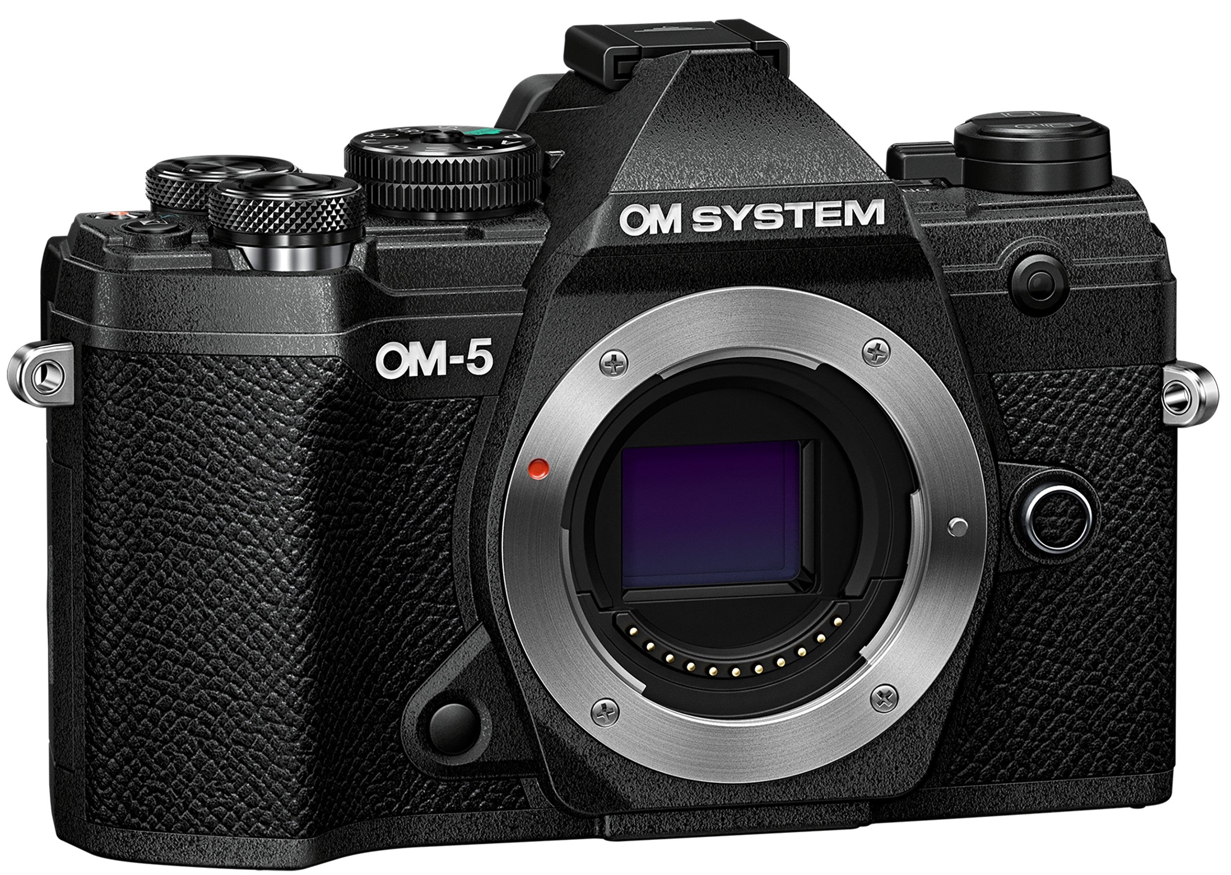 OM SYSTEM OM-5 Mirrorless Camera (Black)