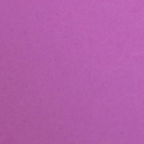 Savage 53" x 36' #91 Plum Seamless Background Paper