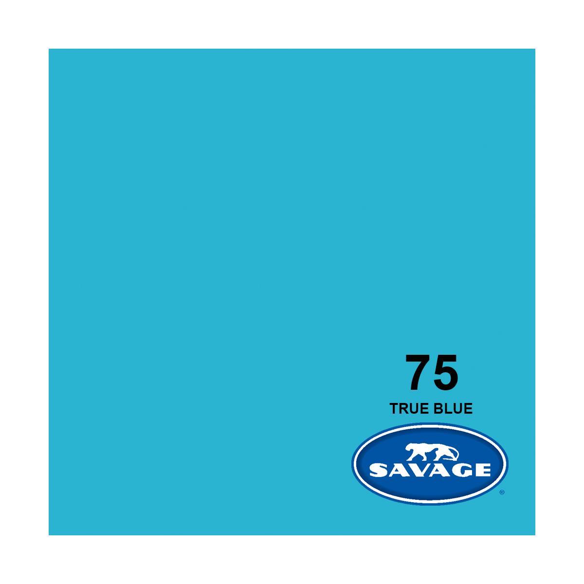 Savage 53" x 36' #75 True Blue Seamless Background Paper