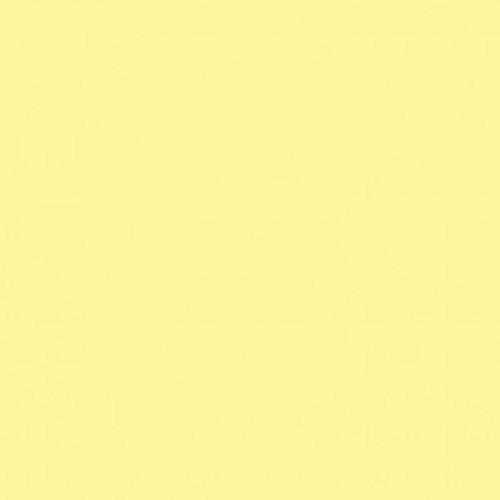 Savage 53" x 36' #93 Lemonade Seamless Background Paper